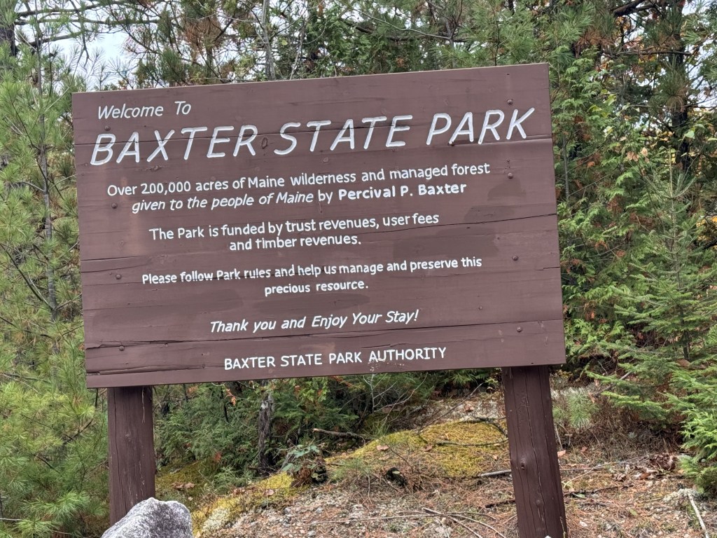 Deep in the Maine&nbsp;Woods