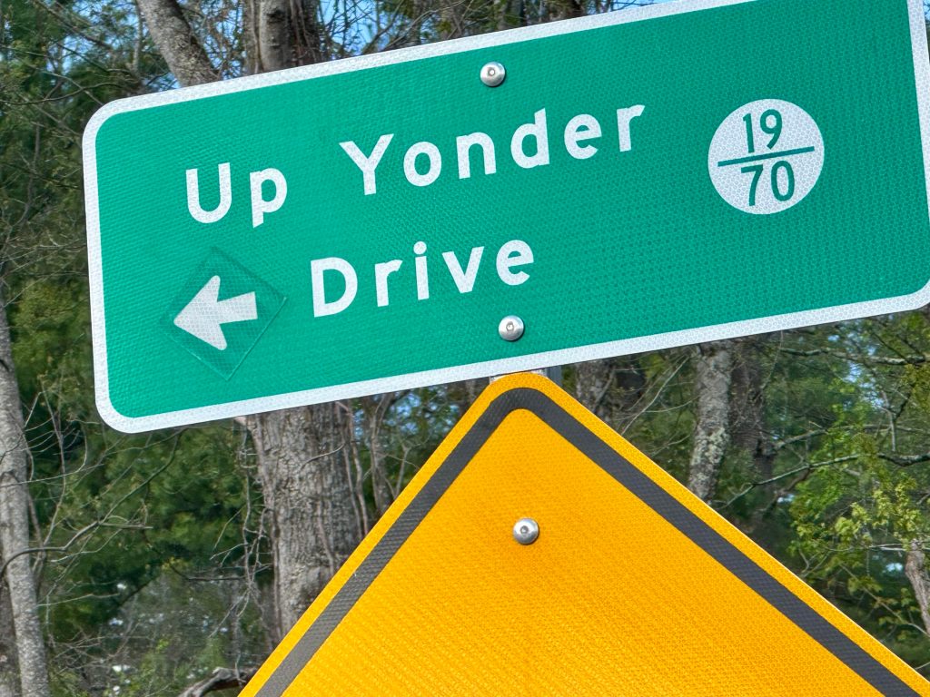 Coastal Beauty in the&nbsp;Carolinas