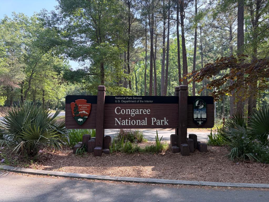 Congaree National Park – A Cathedral of Towering&nbsp;Trees